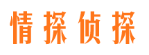 越西市私家侦探